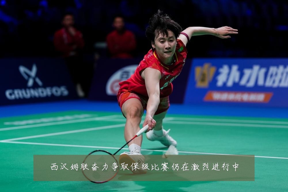 西汉姆联奋力争取保级比赛仍在激烈进行中